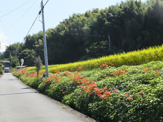 9月26日高取 2019-09-26 075.JPG
