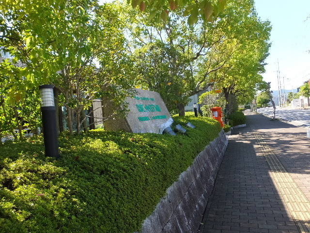10月16日エデンの園 2019-10-17 032.JPG