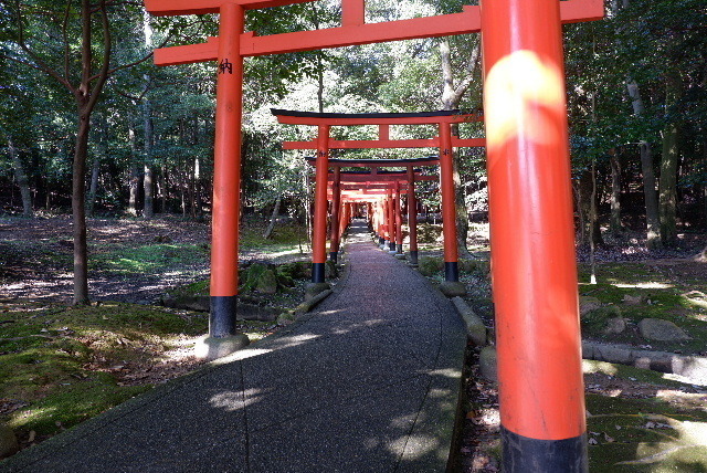 2019_1123神宮桜0051.JPG