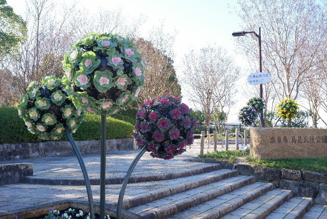 2019_120112月1日馬見丘陵公0002.JPG