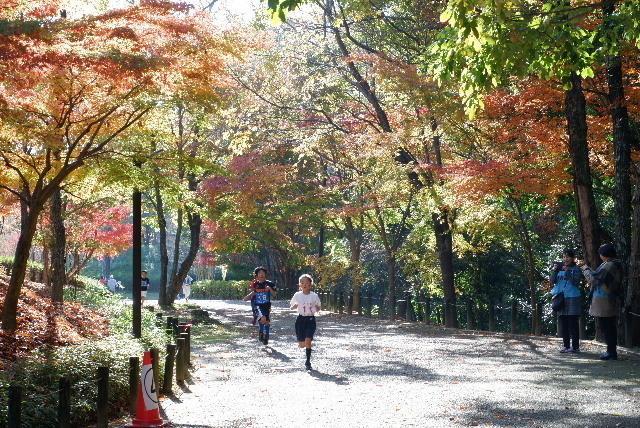 2019_120112月1日馬見丘陵公0008.JPG