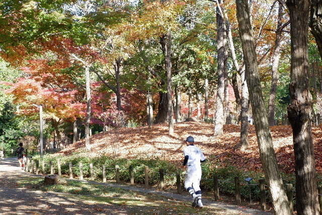 2019_120112月1日馬見丘陵公0009.JPG