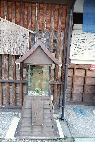 2020_0223郡山ひな祭り0077.JPG