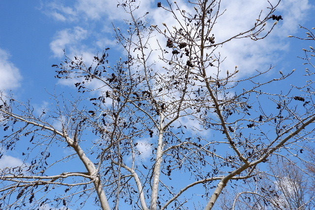 DSCF5573.JPG