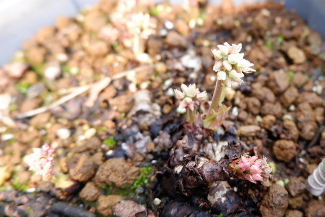 DSCF5781.JPG