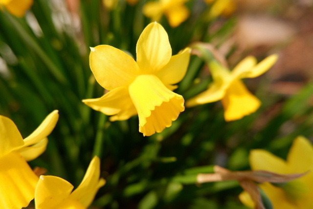 DSCF5791.JPG