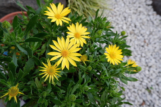 DSCF5799.JPG