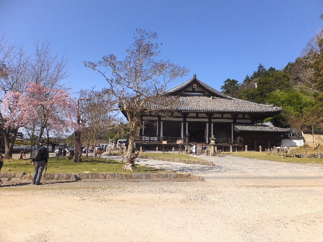 3月21日奈良東大寺 2020-03-21 080.JPG