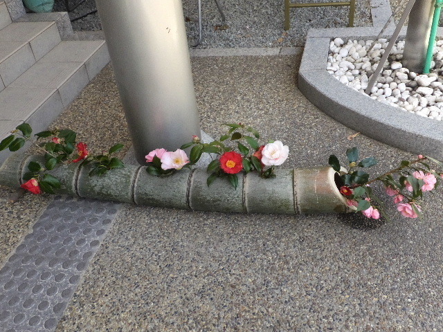 3月21日奈良東大寺 2020-03-21 024.JPG