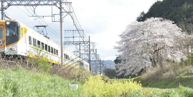 _ND65924 1000下平田近鉄沿い-6.jpg