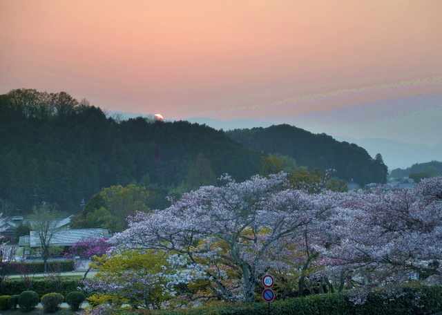 _ND66603 1000明日香村石舞台古墳日没-7.jpg