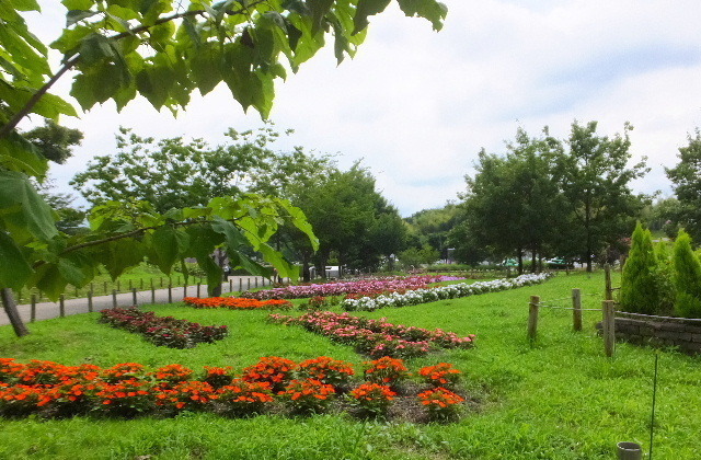 7月29日馬見丘陵公園 008.JPG