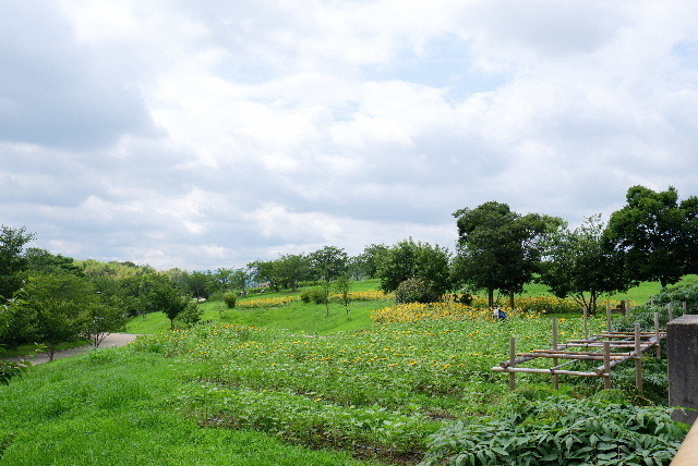 2020_07292020年7月29日馬見丘0033.JPG