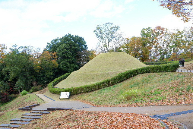 2020_11282020年11月28日中尾山0035.JPG
