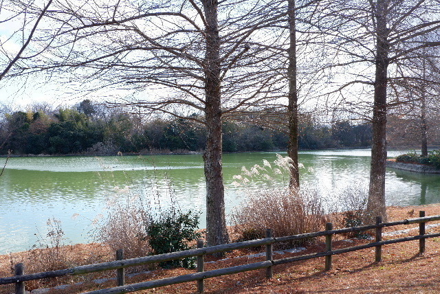 2021_01182012年1月18日馬見0023.JPG