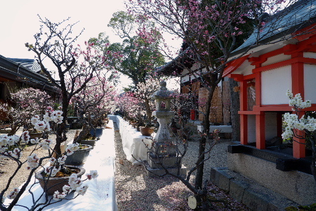 2021_02202012年２月２０日菅原0005.JPG