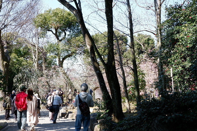 2021_02222012年２月２1日城南0034.JPG