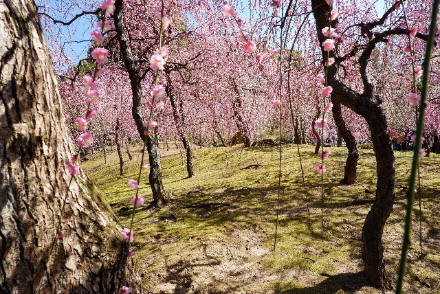 2021_02222012年２月２1日城南0108.JPG