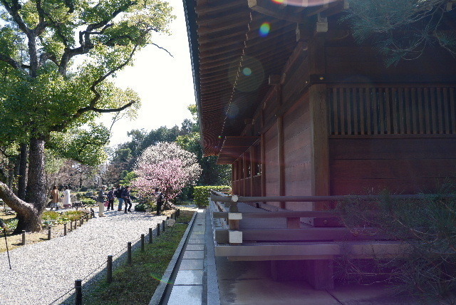 2021_02222012年２月２1日城南0140.JPG