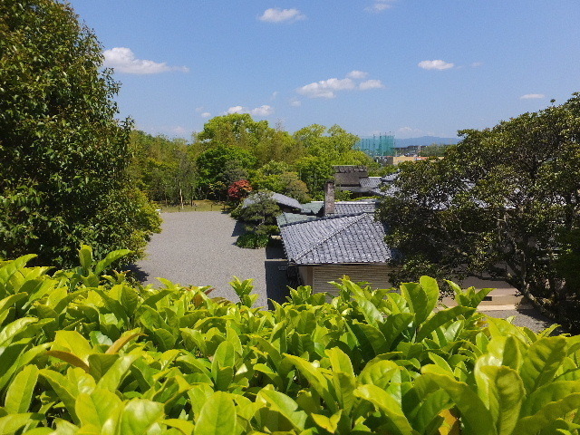 5月３日松柏美術館 018.JPG