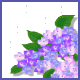 紫陽花.gif
