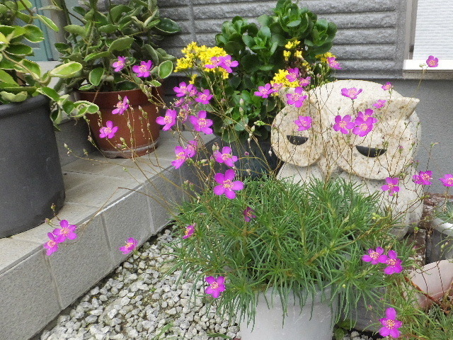 2021_0710７月１０日10007.JPG