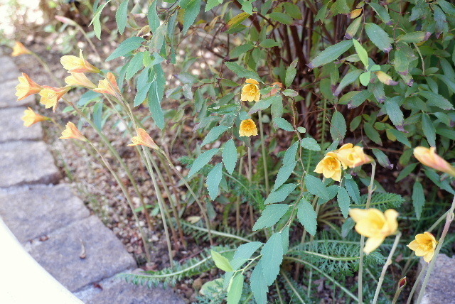 2021_0906９月６日10001.JPG