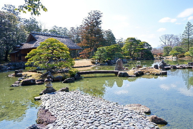 DSCF8764.JPG