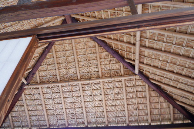 DSCF8847.JPG