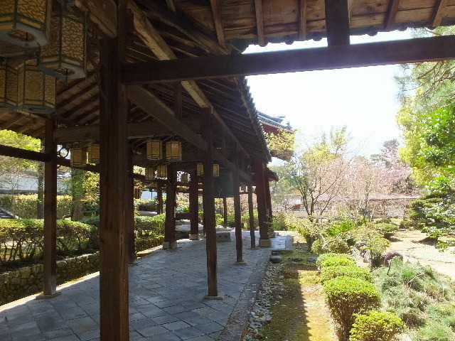 京都万福寺 057.JPG