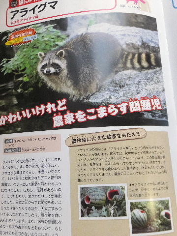 画像を等倍で表示します 画像
