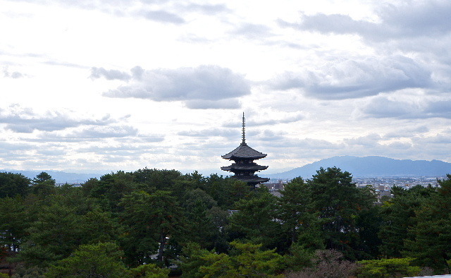 2022_1201奈良公園20012.JPG