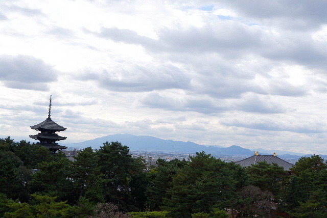 2022_1201奈良公園20013.JPG
