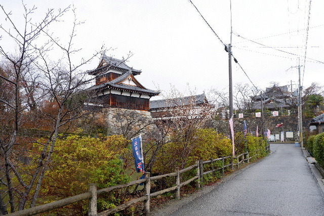 2023_0220２月２０日盆梅郡山城0007.JPG