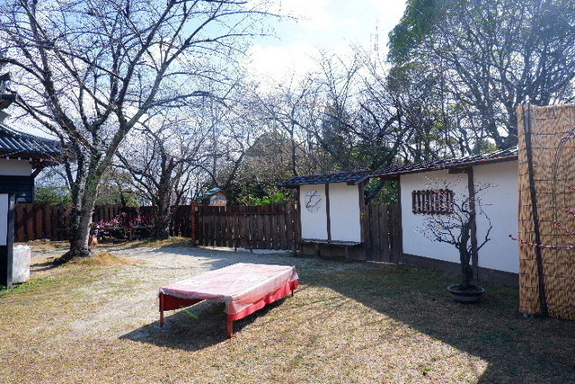 2023_0220２月２０日盆梅郡山城0100.JPG