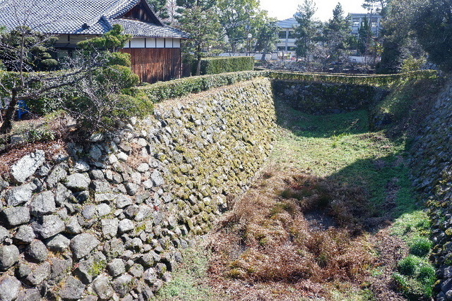 2023_0220２月２０日盆梅郡山城0114.JPG