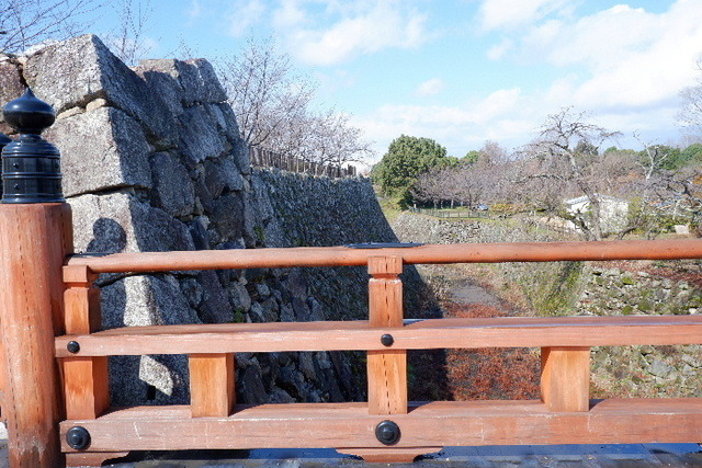 2023_0220２月２０日盆梅郡山城0126.JPG