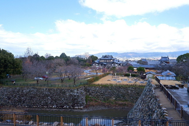 2023_0220２月２０日盆梅郡山城0154.JPG