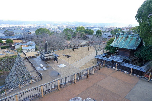 2023_0220２月２０日盆梅郡山城0156.JPG