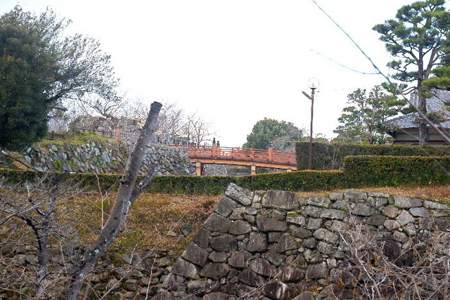 2023_0220２月２０日盆梅郡山城0173.JPG