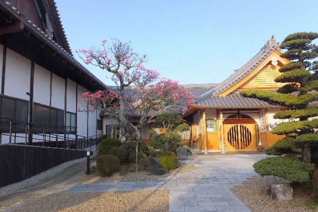 2023_0313２月２０日盆梅郡山城0004.JPG