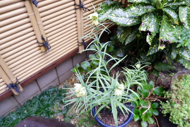 2023_0324３月24niti0012.JPG