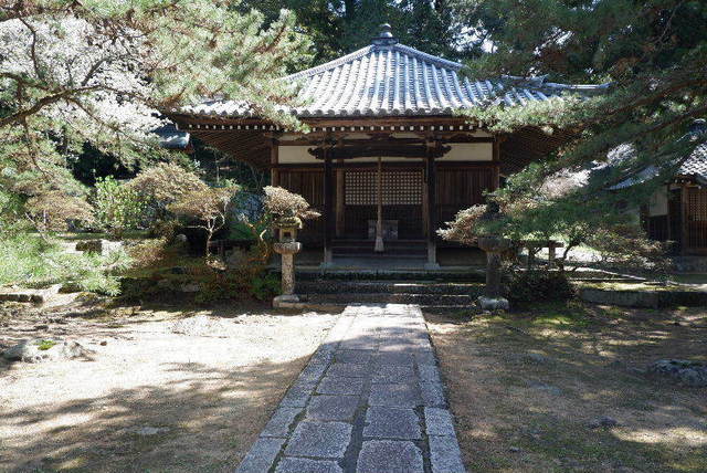 2023_0328３月２８日弘川寺桜0023.JPG
