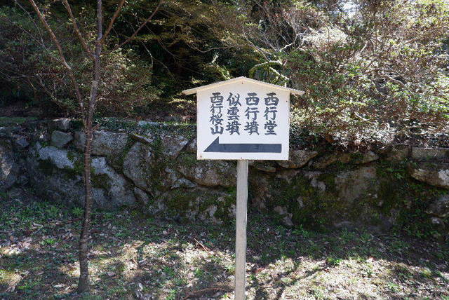 2023_0328３月２８日弘川寺桜0027.JPG