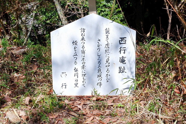 2023_0328３月２８日弘川寺桜0093.JPG