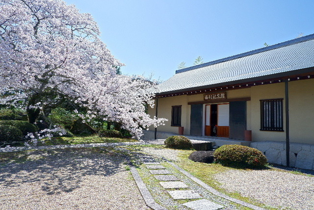 2023_0328３月２８日弘川寺桜0118.JPG