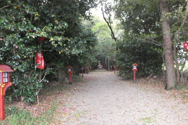 2023_0408奈良イチゴ0018.JPG