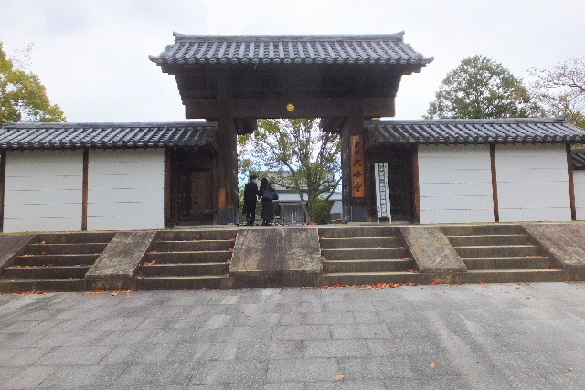2023_0408奈良イチゴ0032.JPG