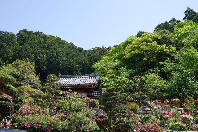 2023_0420４月２０日金剛寺　船0001.JPG