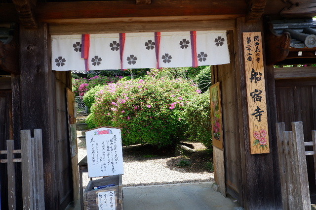 2023_0420４月２０日金剛寺　船0007.JPG